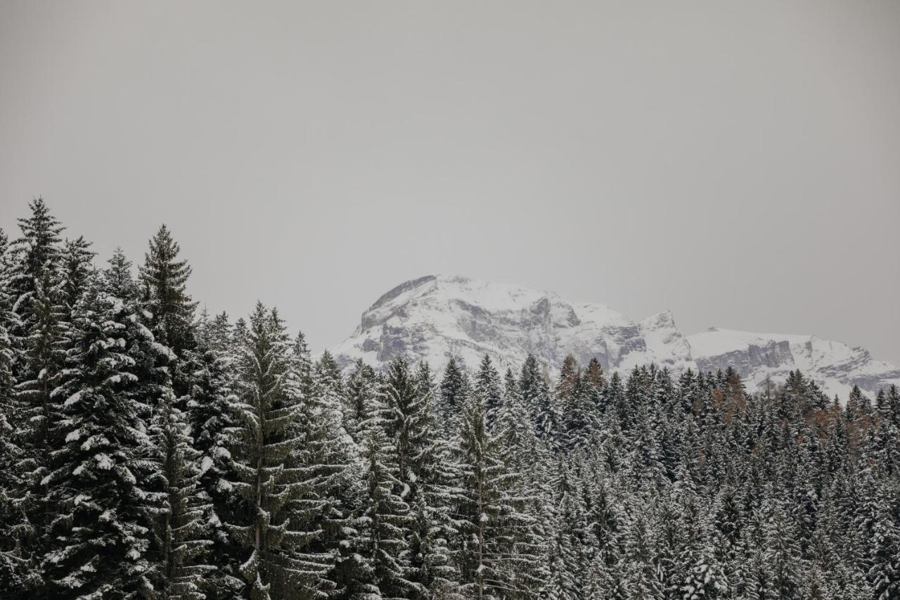Hygna Chalets Reith im Alpbachtal Exteriér fotografie