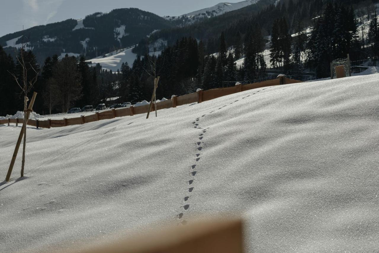 Hygna Chalets Reith im Alpbachtal Exteriér fotografie